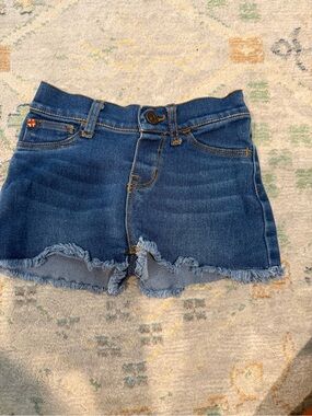 Hudson Jeans Frayed Hem Denim Shorts - Blue